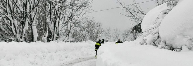 Valanga in Val Visdende: travolti uno scialpinista con il suo cane Valanga in Val Visdende: travolti uno scialpinista con il suo cane