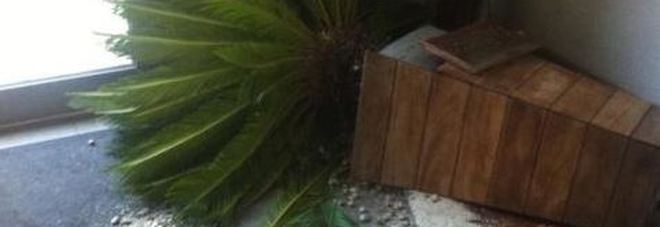 Una delle fioriere rovesciate dai vandali Una delle fioriere rovesciate dai vandali