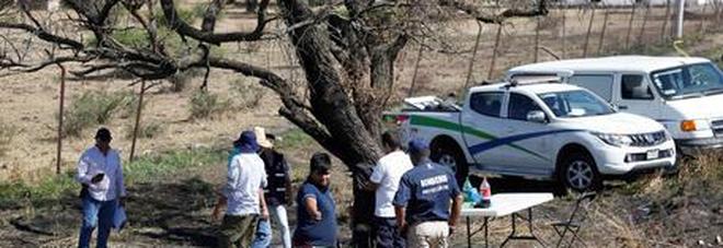 Ritrovati almeno 75 sacchi contenenti resti umani smembrati in una fossa, nello stato messicano di Jalisco Ritrovati almeno 75 sacchi contenenti resti umani smembrati in una fossa, nello stato messicano di Jalisco