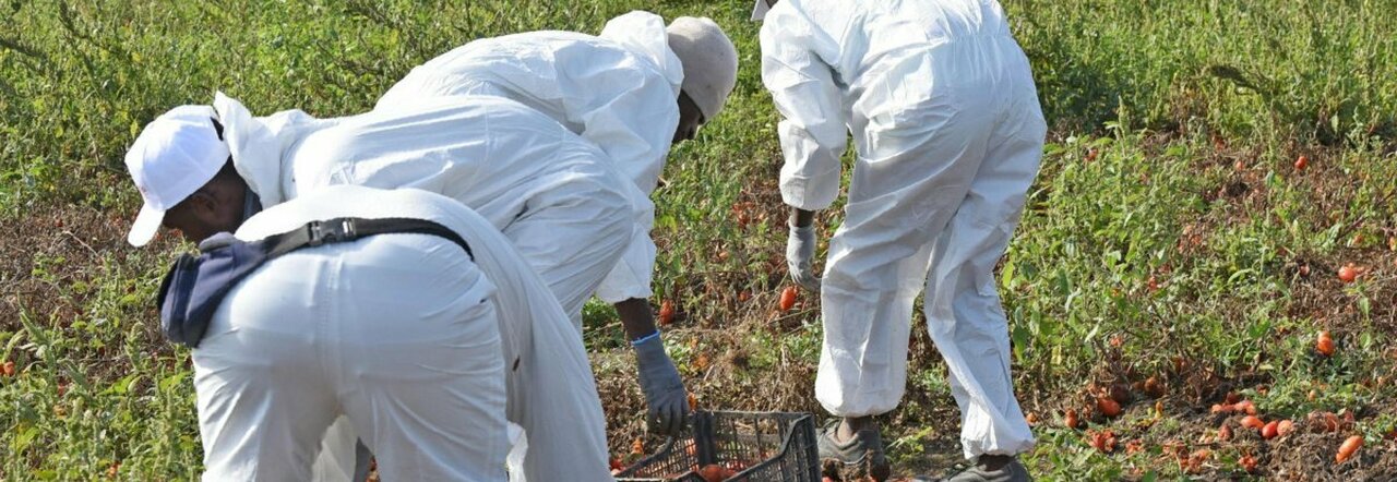 Migranti, mancano operai, camerieri e braccianti: verso la riapertura dei flussi. Alle imprese servono 120 mila addetti