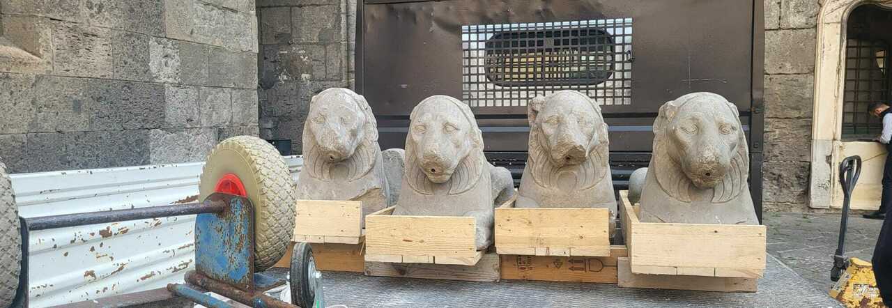 Le statue dei leoni ritrovate nelle segrete del Maschio Angioino