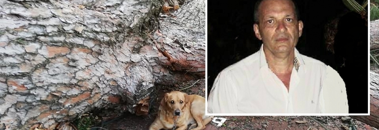 L'albero crollato e la vittima, Gioacchino Mollo con il suo fedel amico a quattro zampe