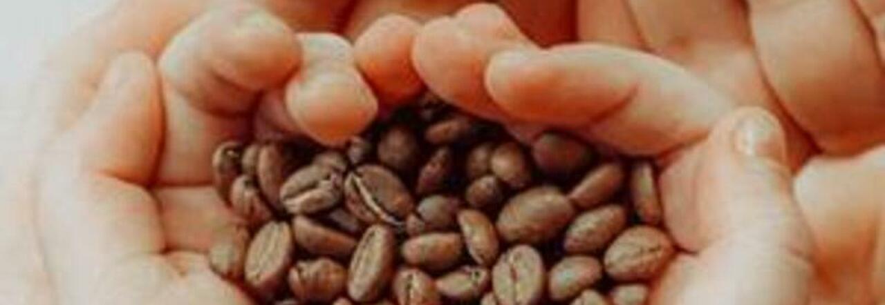 Napoli, al carcere di Secondigliano "Chicco di speranza": insegnare ai detenuti l'arte del caffè