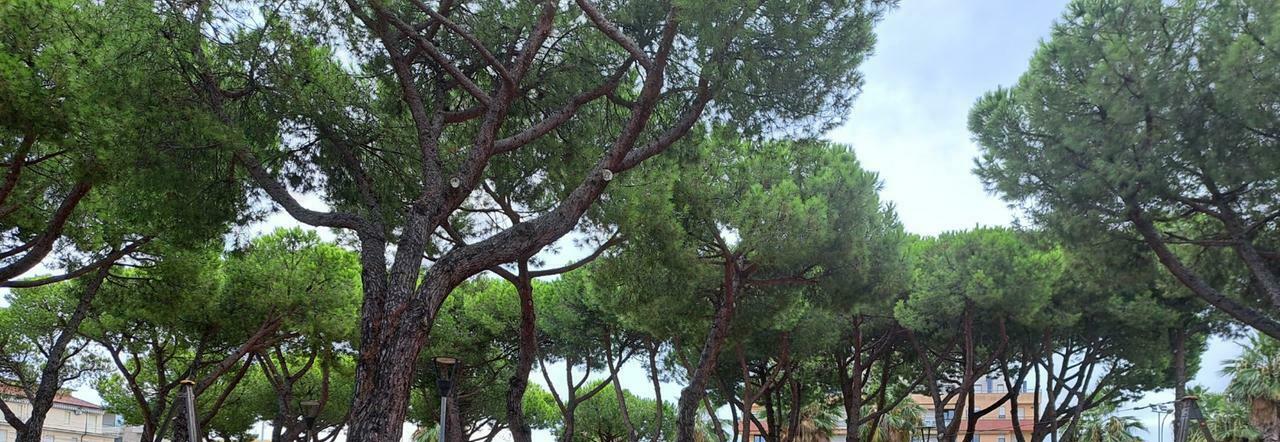 Piazza Gaslini verso il restyling: «Basta bivacchi, sarà inclusiva»
