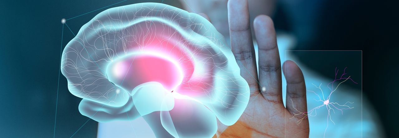 Alzheimer, il farmaco rivoluzionario: elimina i marcatori della malattia dal cervello. «Non ha effetti collaterali»