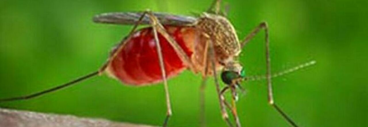 Federico ll mette a disposizione le proprie risorse per combattere il virus Federico ll mette a disposizione le proprie risorse per combattere il virus
