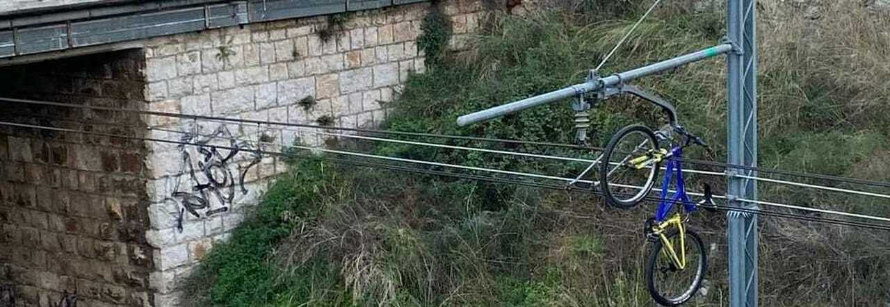 6323550_1702_whatsapp_image_2021_11_15_a