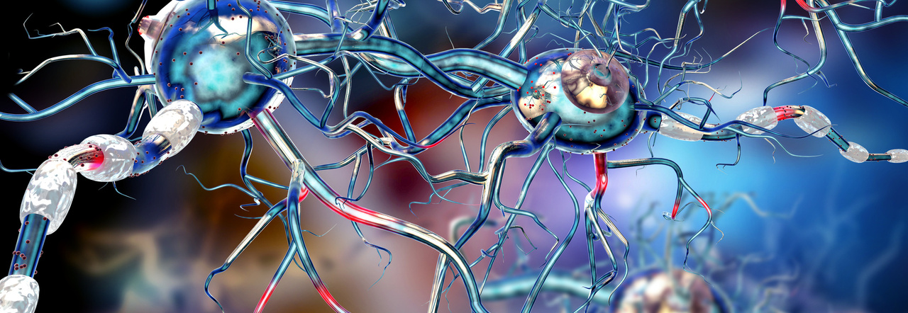 Sclerosi multipla sintomi, diagnosi e nuove prospettive