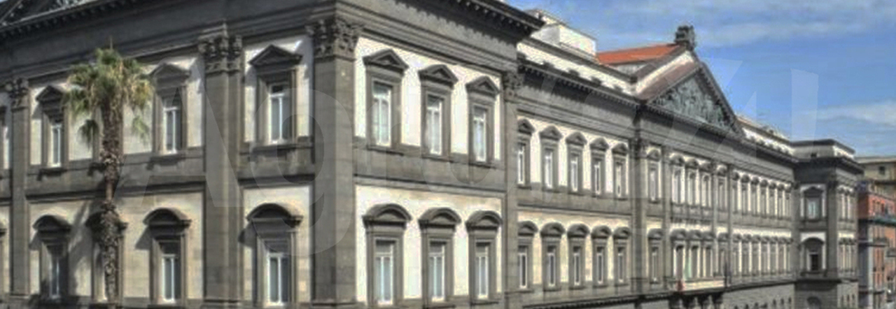 L'università di Napoli Federico II