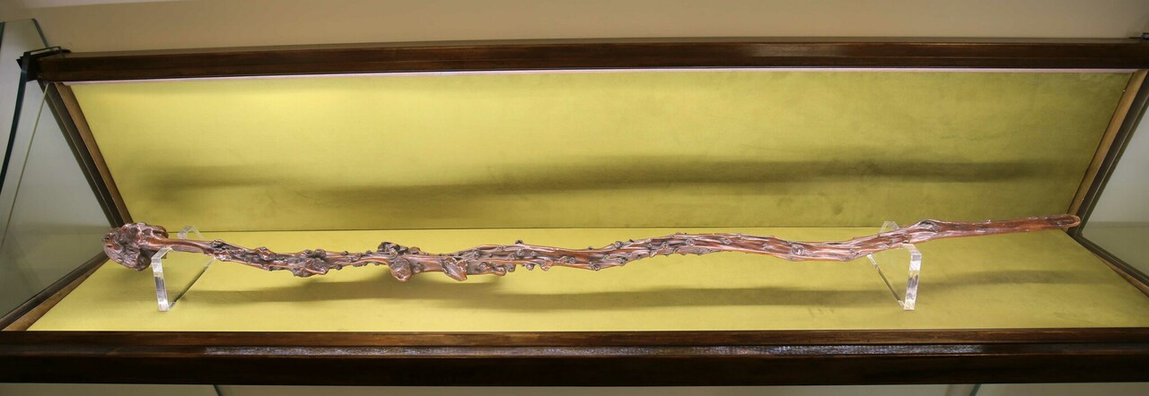 Napoli, S.a.r. Don Pedro di Borbone delle Due Sicilie ed il figlio Don