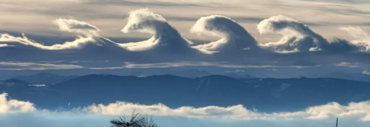 L'alba cielo su un campo coperto di gelo con una linea di alberi di pioppo  all'orizzonte. Cielo perlopiù chiaro con alcune macchie di tipo cirrus  nuvole. Campagna del Kent in Inghilterra. Inverno