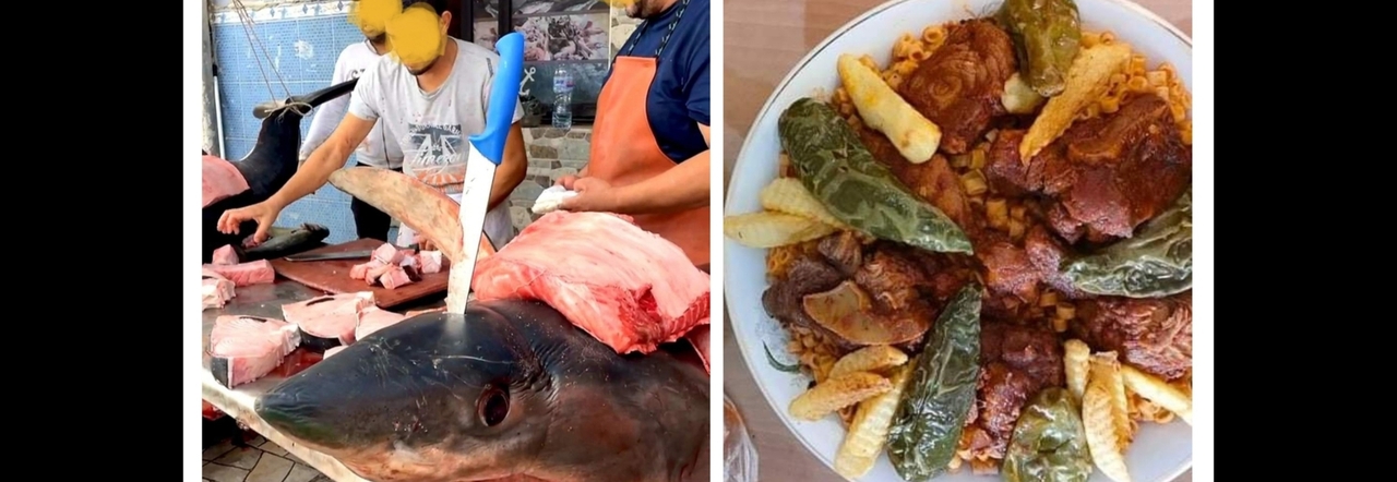 Lo squalo finito sul banco della pescheria tunisina prima di essere cucinato. (Immagini diffuse da Monastir Tv sami mansour su Fb)