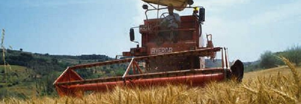 Fitofarmaci, lo stop Ue penalizza il made in Italy: ecco i rischi per l'agricoltura nel nostro Paese