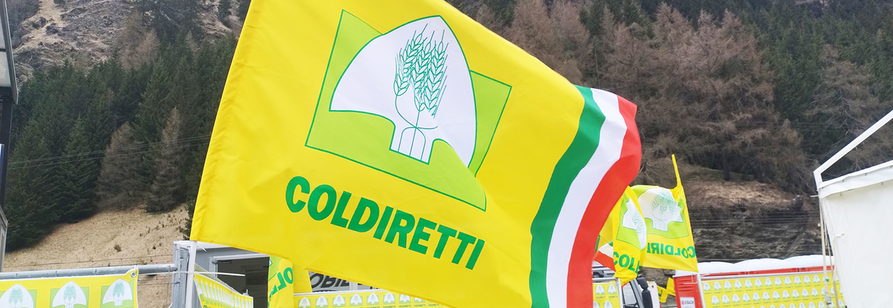 La bandiera di Coldiretti