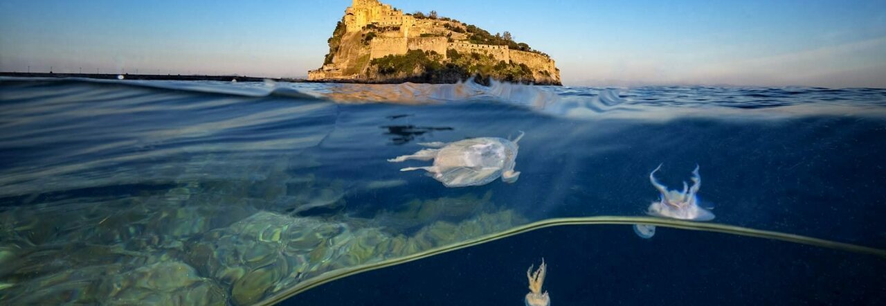 Ischia Celebrates the Sea and Maritime Culture Day with a Rich Program ...