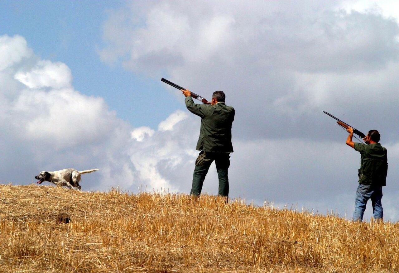 Benevento, è guerra ai cinghiali nel Sannio: 200 nuovi cacciatori da maggio