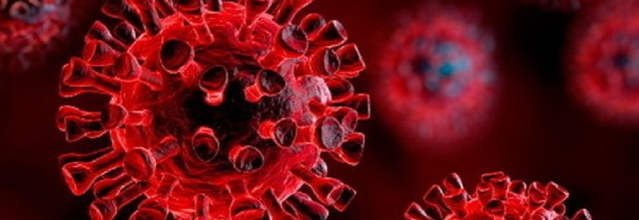 Ucraina, allerta fuoriuscita virus dai laboratori. Oms: «Distruggere agenti patogeni ad alta minaccia»