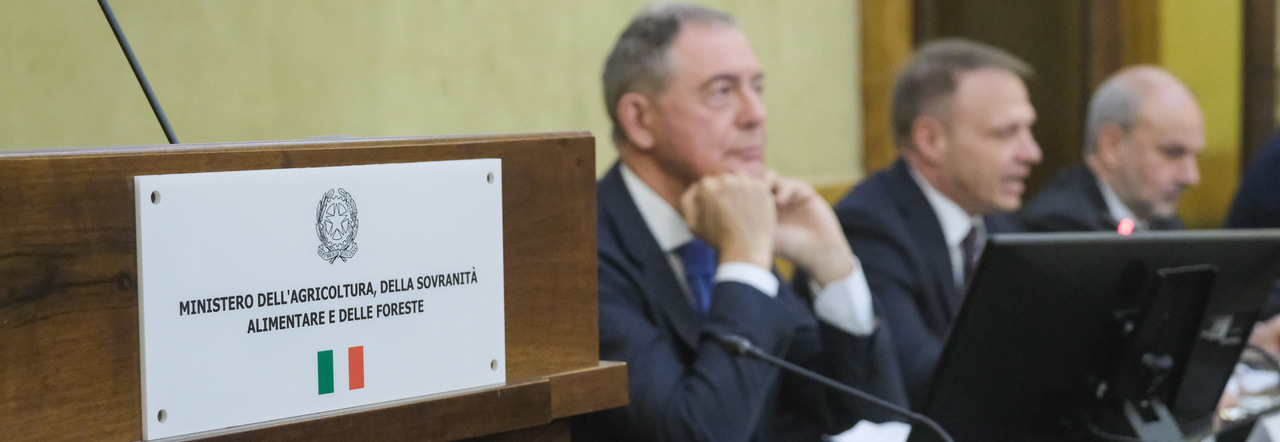 Il ministro Alfredo Urso