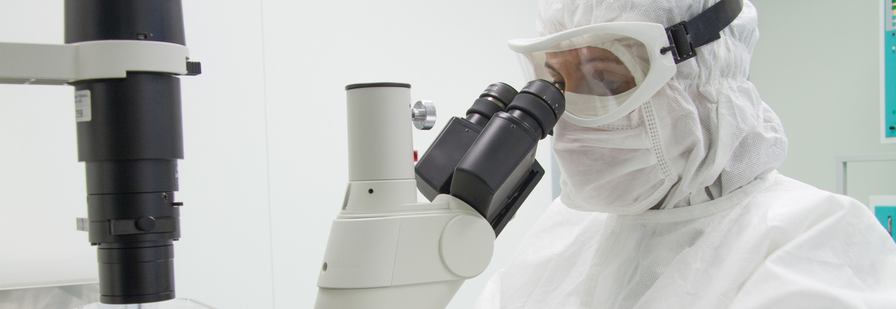 Leucemia, nuova terapia genica al Bambino Gesù di Roma: i test con le cellule Natural Killer