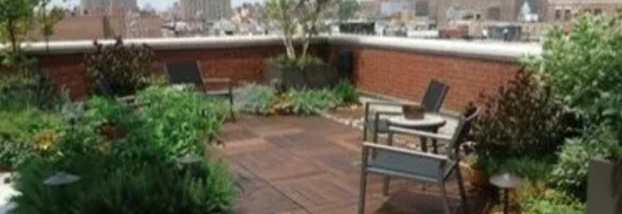 Bonus verde, detrazioni fino a 1.800 euro per giardini e terrazzi: come funziona, a chi spetta, come richiederlo