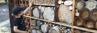 Aprono a Roma i primi Beehotel, alberghi per api solitarie Aprono a Roma i primi Beehotel, alberghi per api solitarie