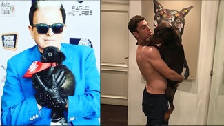Malgioglio attacca Filippo su Instagram: «I cani si educano con amore non con la violenza» Malgioglio attacca Filippo su Instagram: «I cani si educano con amore non con la violenza»