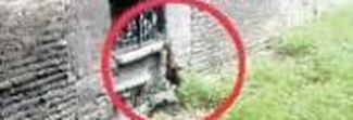 Esquilino, gatto impiccato
a piazza Vittorio, caccia al killer Esquilino, gatto impiccato
a piazza Vittorio, caccia al killer