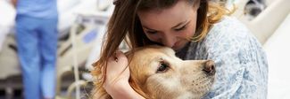 Oltre 10 milioni di animali nelle case degli italiani: sempre più aziende consentono di portarli in ufficio Oltre 10 milioni di animali nelle case degli italiani: sempre più aziende consentono di portarli in ufficio