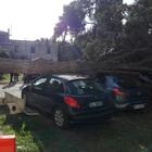 Alberi sulle auto e crolli, le raffiche fanno 5 vittime nel Lazio