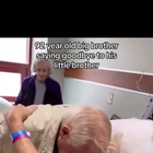 TikTok, l'addio straziante tra fratelli 90enni diventa virale: «Questo è amore puro»