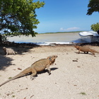 Due tour "esperenziali" per scoprire i Caraibi Due tour "esperenziali" per scoprire i Caraibi