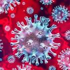 Le mutazioni del virus: come riconoscerle?