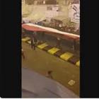 La gente per strada festeggia la morte del generale iraniano Soleimani Video