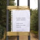 Pericolo cinghiali, chiuso il parco di Villa Pamphilj