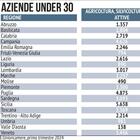 immagine Imprese, Mezzogiorno top: la svolta con gli under 30