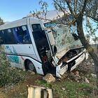 Incidente tra un trattore e un bus con a bordo gli studenti: un ferito grave