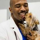 Veterinario fa sesso con i cani che aveva in cura: incastrato da foto e video