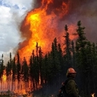 Artico è in fiamme, oltre 100 incendi: «Evento senza precedenti»