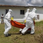 Ebola, torna l'incubo: 17 morti in Congo