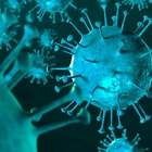 Nuova mutazione del virus in una bimba: «È più pericolosa per gli adulti»