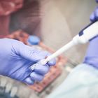 Coronavirus, dai laboratori anti-ebola di Pomezia nascerà il vaccino contro il Covid-19