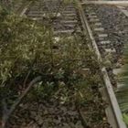 Meteo, bomba d'acqua in Sicilia: treni fermi. Nessun disperso: il pensionato scomparso si sarebbe ucciso nel fiume Salso