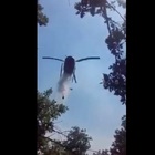 Video L'elicottero fa il bagno ai vigili nel bosco. La reazione è esilarante