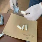 Roma, coppia con 62 ovuli di cocaina arrestata all'Esquilino