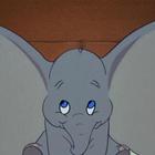 Dumbo è realmente esistito: la tragica storia dell'elefantino più famoso del mondo