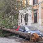 Maltempo a Roma, alberi caduti e strade chiuse. Allerta arancione per forti temporali su tutto il Centro Nord