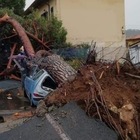 Maltempo, temporali in Liguria e tromba d'aria in Toscana: sindaci valutano chiusura delle scuole