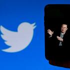 Twitter, è sicuro usarlo? Timori per la vulnerabilità dopo la raffica di licenziamenti di Elon Musk