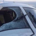 Brasile, avvoltoio sfonda il parabrezza di un aereo: piloti e passeggeri investiti dalle schegge e dal sangue del volatile