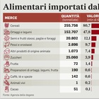 Putin: stop export di cibo. Cereali e legumi a rischio: quali ripercussioni per l'Italia?